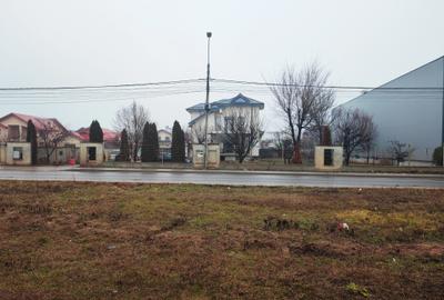 Vila S+P+1+M-318 m2 utili cu 1820 m2 teren situata vis a vis Lidl,Penny,Kaufland - 59