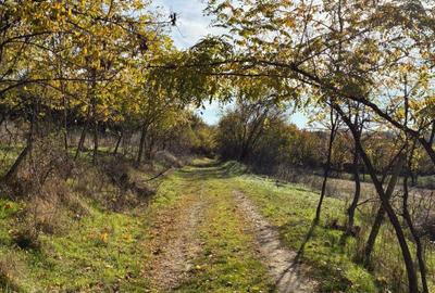 Teren de 5140 mp, în Exterior Vest - 1