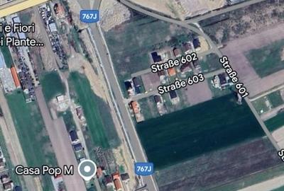 Teren 13 000 mp cu Acces din Centura Osorhei Investitie Parcelare Constructii - 1