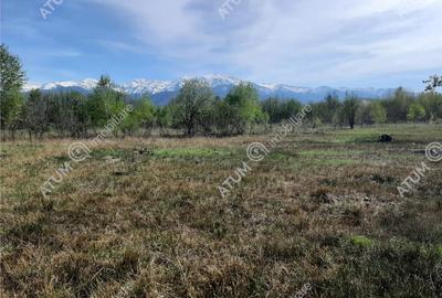 Teren intravilan 2700 mp pe Valea Avrigului localitate Avrig - 8