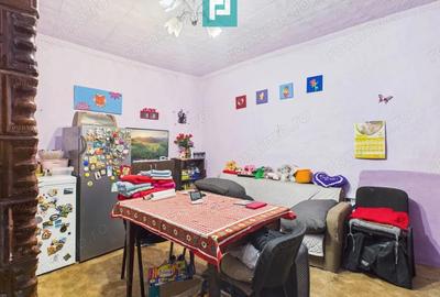 Casa modesta cu 3 camere in Aradul Nou - 13