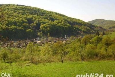 Teren de 18000 mp, în Moneasa - 2