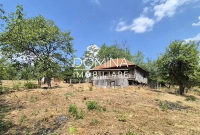 Casă cu 2 camere cu Teren 5209 Mp în Mușetești - 6