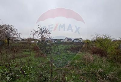 Teren intravilan de 6218 mp, în Ghencea - 9