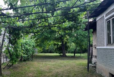 Teren si casa batraneasca in Dumbravesti, Prahova Teren si casa batraneasca in Dumbravesti, Prahova - 4