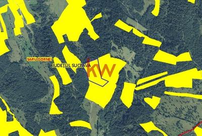 Teren Generos in Zona Montana - Șaru Dornei - 4