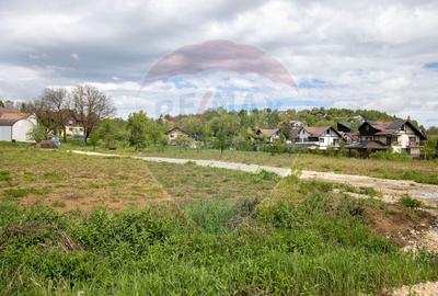 Teren de vanzare cu potential turistic-Predelut,comuna Bran - 8