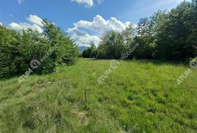 Teren intravilan 2100 mp de vanzare pe Valea Avrigului in Sibiu - 4