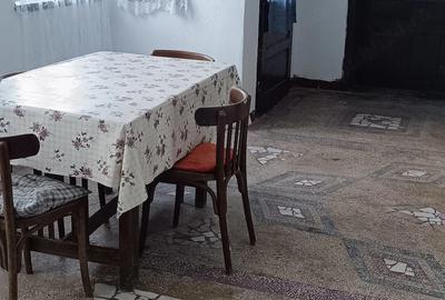 Casă cu 4 camere cu Teren 7400 Mp în Aciuța - 4