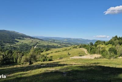 Spațiu comercial, în Talea - 8