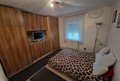 Garsonieră nedecomandată în Alfa - 4