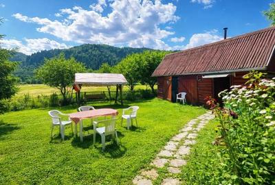 Casă cu 3 camere cu Teren 1360 Mp în Lunca - 5