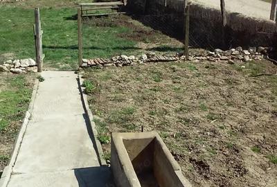 Casă în Rariștea - 4