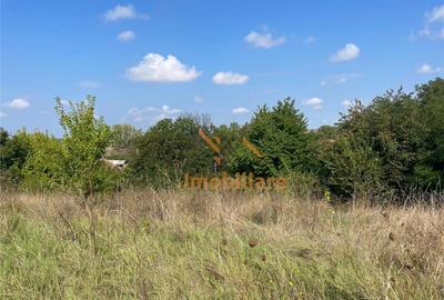 TEREN INTRAVILAN 2905 MP | DIOSIG - 4