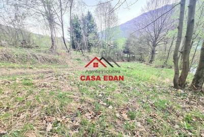 Teren de 1000 mp, în Teșila - 15