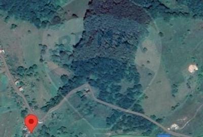 Teren Construcții intravilan de 1500 mp, în Damiș - 21