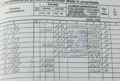 Teren în Borșa - 3