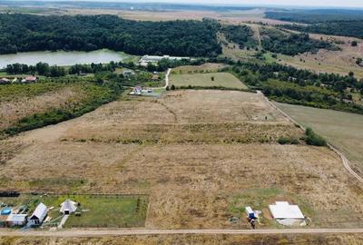 Teren Construcții intravilan de 18.683000564575 mp, în Pișchia - 3