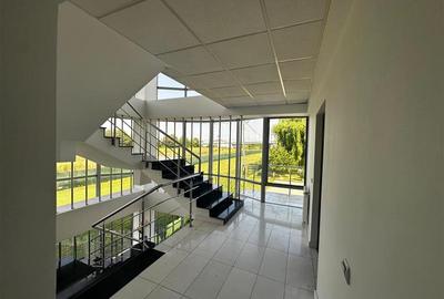 Birou, de 607 mp, în Mărășești - 5