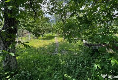 Casă cu 2 camere cu Teren 700 Mp în Central - 2