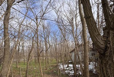 Casă cu 4 camere în Lanurile - 4