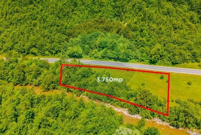 Teren intravilan de 3750 mp, în Brădet - 3