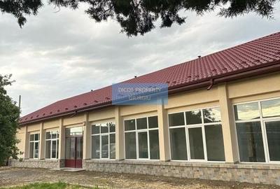 Spațiu Comercial/Evenimente - Daia, 400 mp