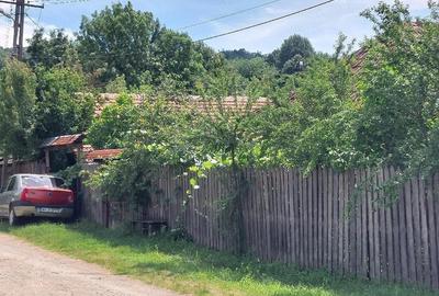 Casă cu Teren 2600 Mp în Central - 4
