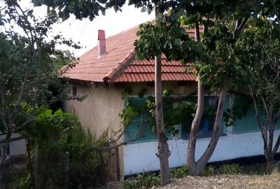 Casă cu 3 camere cu Teren 1180 Mp în Tăut - 4