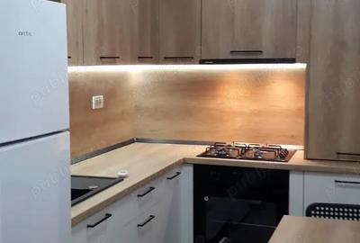 Inchiriem apt 1 camera et 1, Sagului - 6