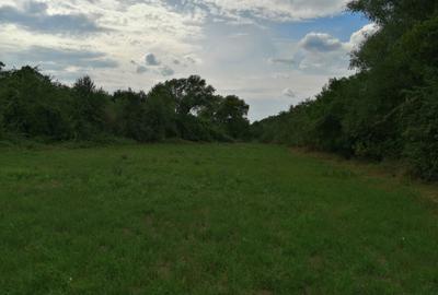 Casă cu 2 camere cu Teren 2000 Mp în Julița - 5