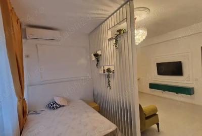 Garsonieră semidecomandată în Dobroești - 4