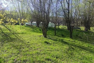 Teren de 1506 mp, în Drajna - 6