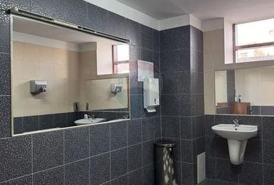 Spațiu comercial, de 250 mp, în Ferdinand - 6
