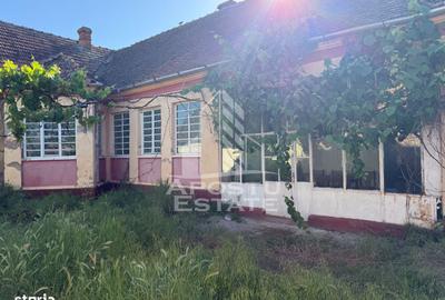Casă cu 4 camere în Jupani - 3