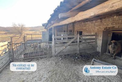 Oportunitate de investitie, Ferma Padurea Galbena - Cehal, Marghita - 14