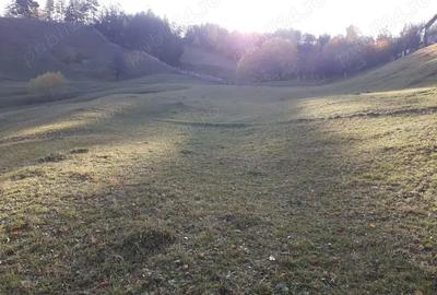 Teren de 13700 mp, în Nereju - 2