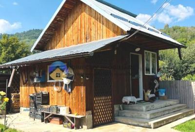 CASA + HALA comuna ALEXANDRU cel BUN - 5