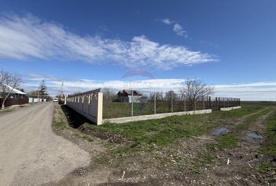 Casă cu 5 camere cu Teren 3400 Mp în Răchitosu - 24