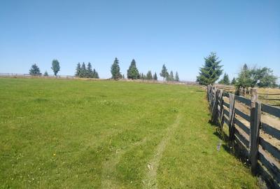 Teren Construcții intravilan de 3538 mp, în Măguri - 3