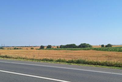 Teren 2 ha la Centura de Nord a Craiovei sau parcele mai mici - 2