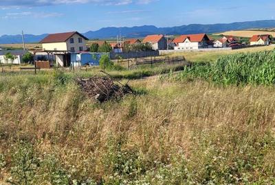 Spațiu comercial, în Central