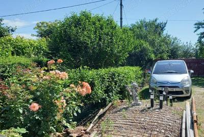 Casă cu Teren 4000 Mp în Radomirești - 6