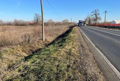 Teren intravilan, Săcădat, 27 921 mp. 9,5 Euro/mp. Comision 0. Teren intravilan, Săcădat, 27 921 mp. 9,5 Euro/mp. Comision 0. - 7