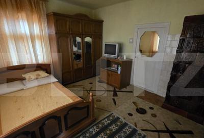 Doua case de vanzare, curte comuna, 4 camer 110mp, 50 ari - 1