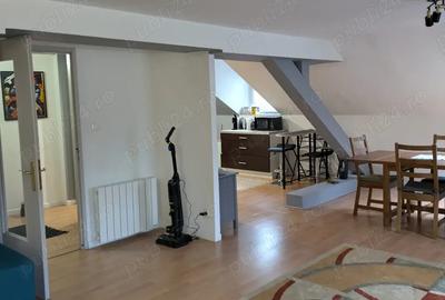 Ocazie, vast apartament introdus in circuitul turistic Airbnb , Lorena - 4