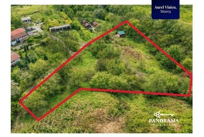 Teren agricol extravilan de 5144 mp, în Aurel Vlaicu - 3
