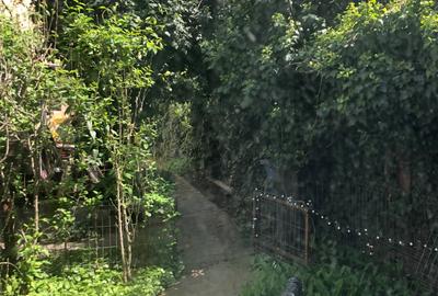 Casă individuală cu 2 camere cu Canalizare în Ștefan cel Mare - 10