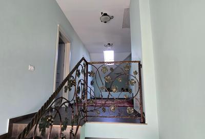 VILA LUX DE VANZARE -PANCIU-STRAOANE - 12