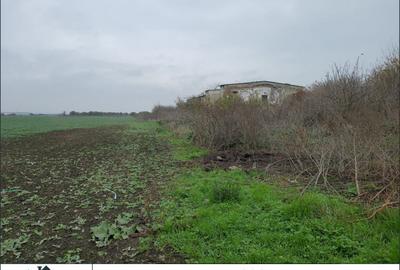 Teren de 20000 mp, în Aradul Nou - 1